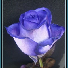 NUNCA MAS LENTO VIOLENTO SCRATCH.mp3