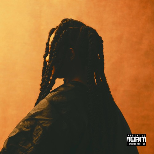 Tems The Key (remix)