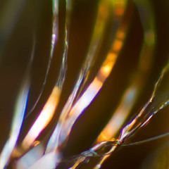 Brueder Selke - When Things Fall Apart (Vermona Piano-Strings)