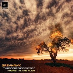 Premiere: Greyhawk - Magnet In The Room (Original Mix)