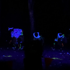 Auto Pilot - Jay Rox (Reggae ximer)🧑🏽‍🦯🔊🔥