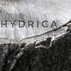 Hydrica