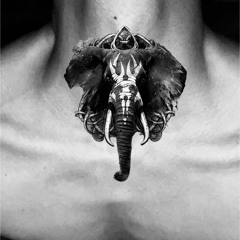 Elephant in the room Ves.8.m4a