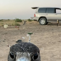 مسا البارح على طاري الجفا.m4a