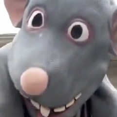 Im a mogus that is grown from a fungus that is grown from Amogus