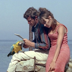 أنتِ الحبيبة والصديق