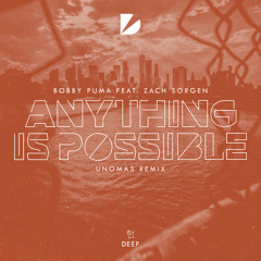 Bobby Puma feat. Zach Sorgen - Anything Is Possible (UNOMAS Remix)