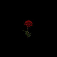 SEVDALIZA; ALIBI - full version