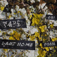 TAPE001: DANI HOME