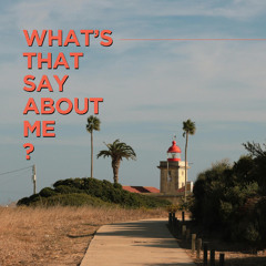 What's That Say About Me?