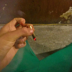 Chan - pluca Amazonii