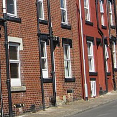 bites my hand when i go wrong