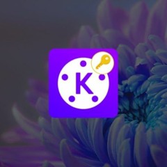 Download Kinemaster Pro Lite Mod APK and Enjoy Premium Features for Free