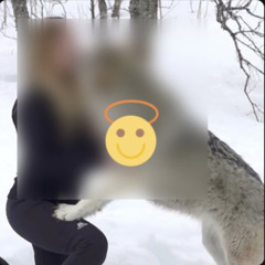 (Video)*one girl one wolf original video 1 wolf 1 girl one girl one wolf 2