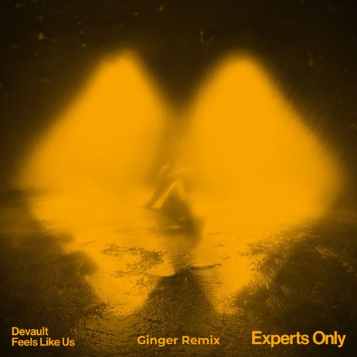 Feels Like Us - Devault (Ginger Remix) [FREE DOWNLOAD]