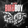 Birdboy Mp3