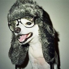 should've been us (@hosty4444)