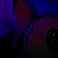 DAISY WATERMELON 0239