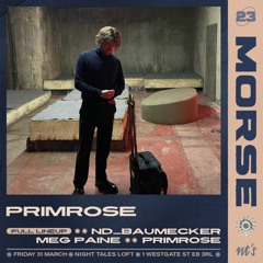 Primrose at Night Tales Loft, London - March 2023