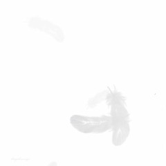 re:trying ft horii「p. Inøri」