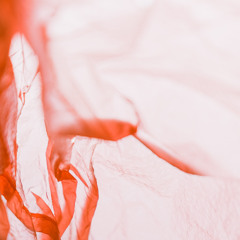 The Big Bang - NOVA PDX - 2025