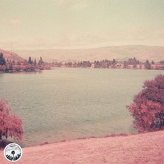at ease - nz, Cauzy