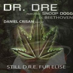 Still D.R.E. Für Elise (Daniel Crisan Mash-Up)