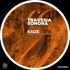 CF Premiere: Kaize - Travesia Sonora [Despair Scape Records]