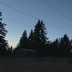 the intro nobody want (prod. @BLEAK BEATS)