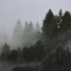#LOFI