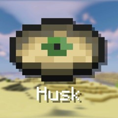 Husk Fan Made Minecraft Music Disc