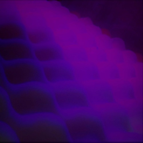 Intrusive Delight - Scilent Symphony | EnigmaCurry