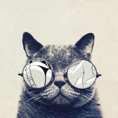 PICO - Apollo