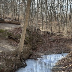 yourashamedprolly p.(everydaysinner)