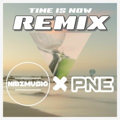 NIBZMUSIC - Time Is Now (Feat PNE)