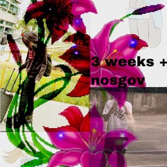 3 weeks (feat. nosgov)