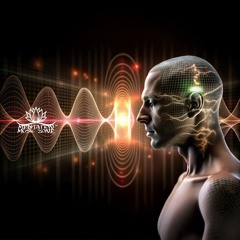 Fragments That Remember