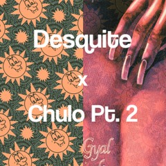 Desquite x Chulo Pt. 2 [Feid x Bad Gyal, Young Miko, Tokischa] 90BPM · Mashup Extended
