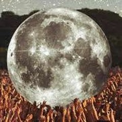 Full Moon Disco
