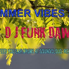 Summer Vibes 2024