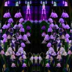Chill eps and singles