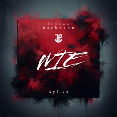 Joshua Bachmann X Ayliva - WIE (Melodic Techno Remix)