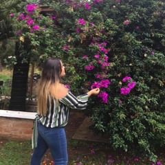 Roys Perspective (Tribute) R.I.P