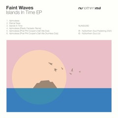 Faint Waves - Islands In Time EP [NUNS028D] SAMPLER