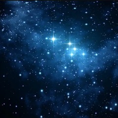 341MSstarlight231227