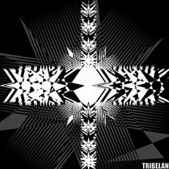 Tournevis - WaVefOorm  Out on tribeland 01 no finalmaster