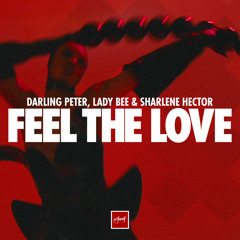 Feel The Love (Pride Anthem 2025)