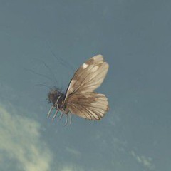 Ce que ça m'évoque - Noh4ine.mp3