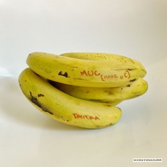 Dmitra - M.U.C. [Make U C]
