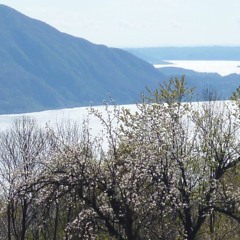 Lago Maggiore(Dirrty Harmonies Remix)